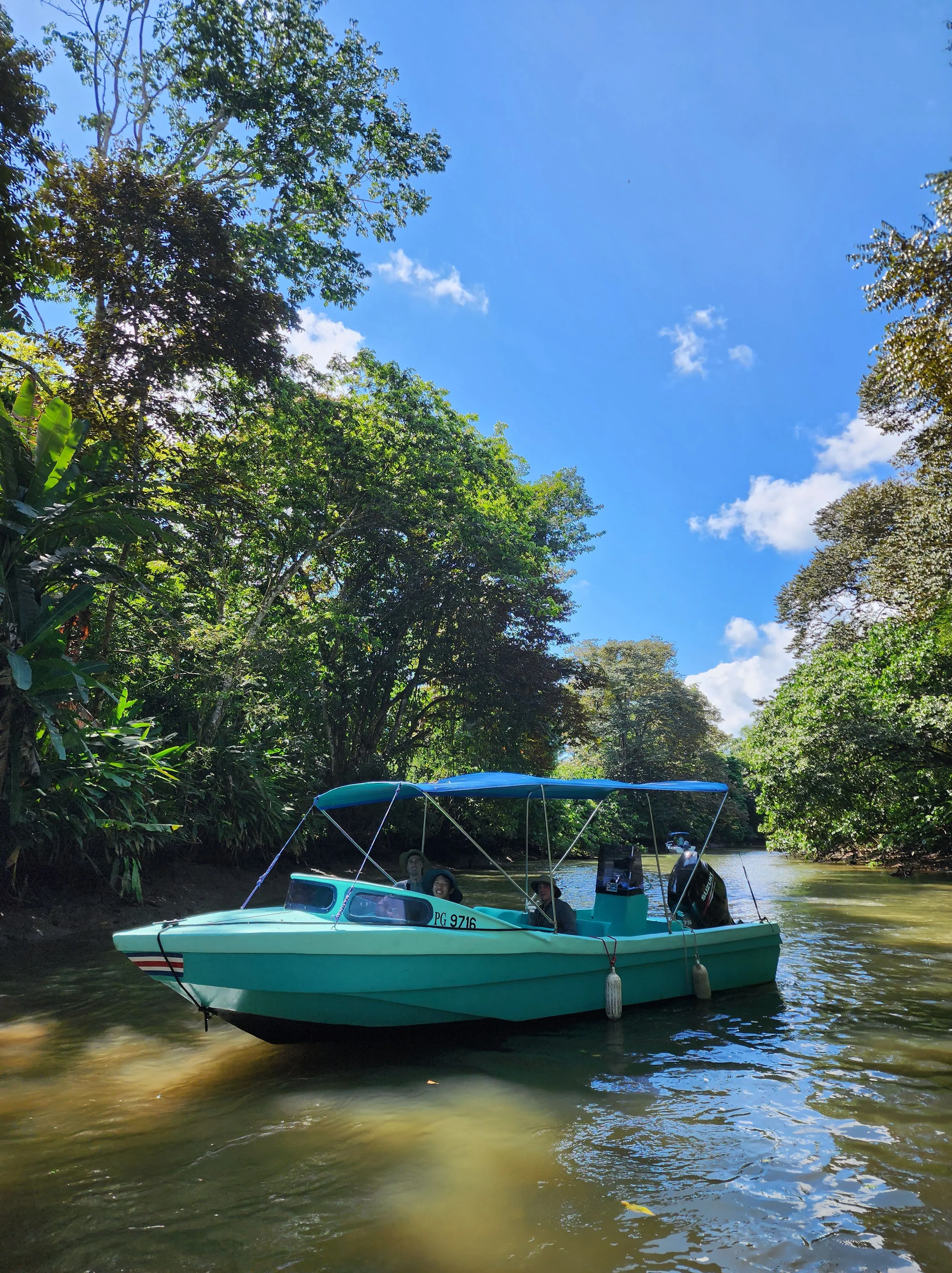 Wildlife and Mangrove River Tour - Image 2