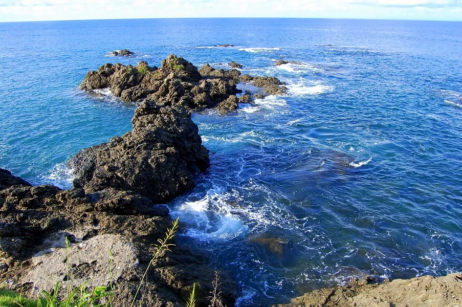 Caño Island Tour - Image 3